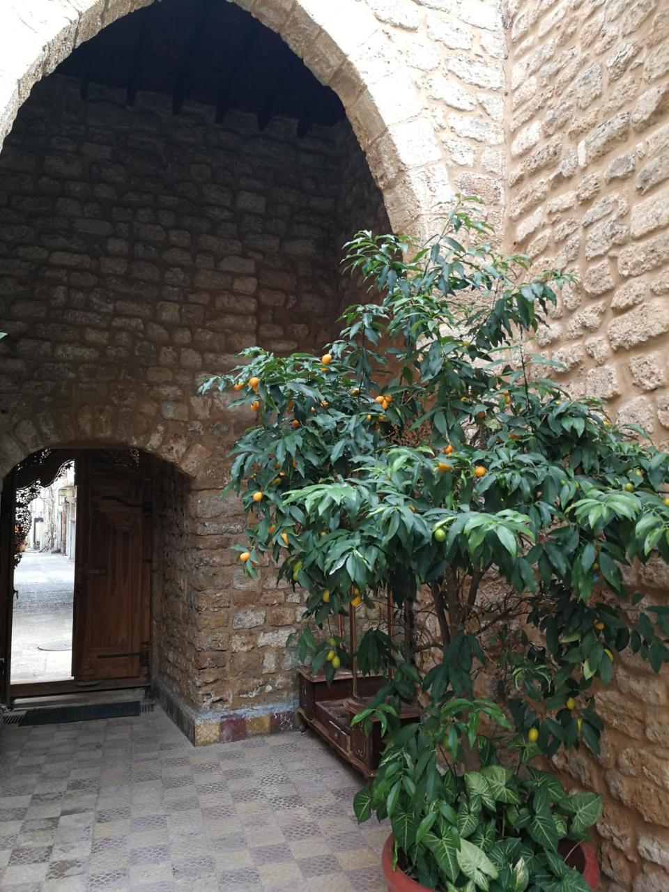 Bed and Breakfast Dar Camelia Тир Экстерьер фото